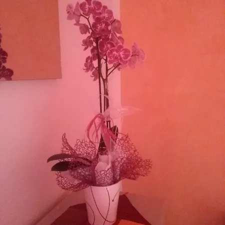 Il Graffio Apartamento